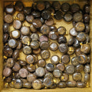 Bronzite Coin 8.5mm 4pcs