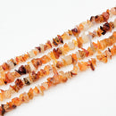 Carnelian Chips, 2.5-5x8-10.5mm (L)