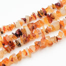 Carnelian Chips, 2.5-5x8-10.5mm (L)