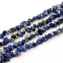 Lapis Lazuli Chips, 2.5-5x8-10.5mm (L)