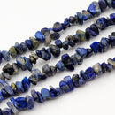 Lapis Lazuli Chips, 2.5-5x8-10.5mm (L)