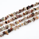 Multi Rutilated Quartz Chips, 2.5-5x8-10.5mm (L)