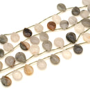 Green Skin Jasper Briolette 16x12mm