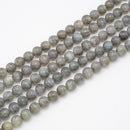 Labradorite Faceted Round 6mm