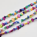 Colorful Mother-of-Pearl Flat (S) 4-6x5-10mm (PX)