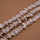 Dark Champagne Pearl Biwa Stick ~4-6x16-18mm (CD)