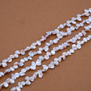 Soft Lilac Champagne Pearl Keshi, ~5-6x6mm