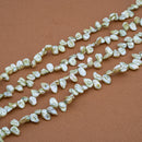 Pistachio Green Pearl Keshi, ~6x8.5mm