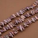 Peacock Bronze Pearl Biwa Stick ~6-7.5x14-19mm (CD)