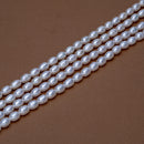 White Pearl Rice 8.5x6mm