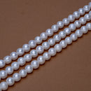 White Pearl Potato 10mm