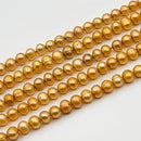 Bronze Orange Pearl Potato 5x6mm (PX)