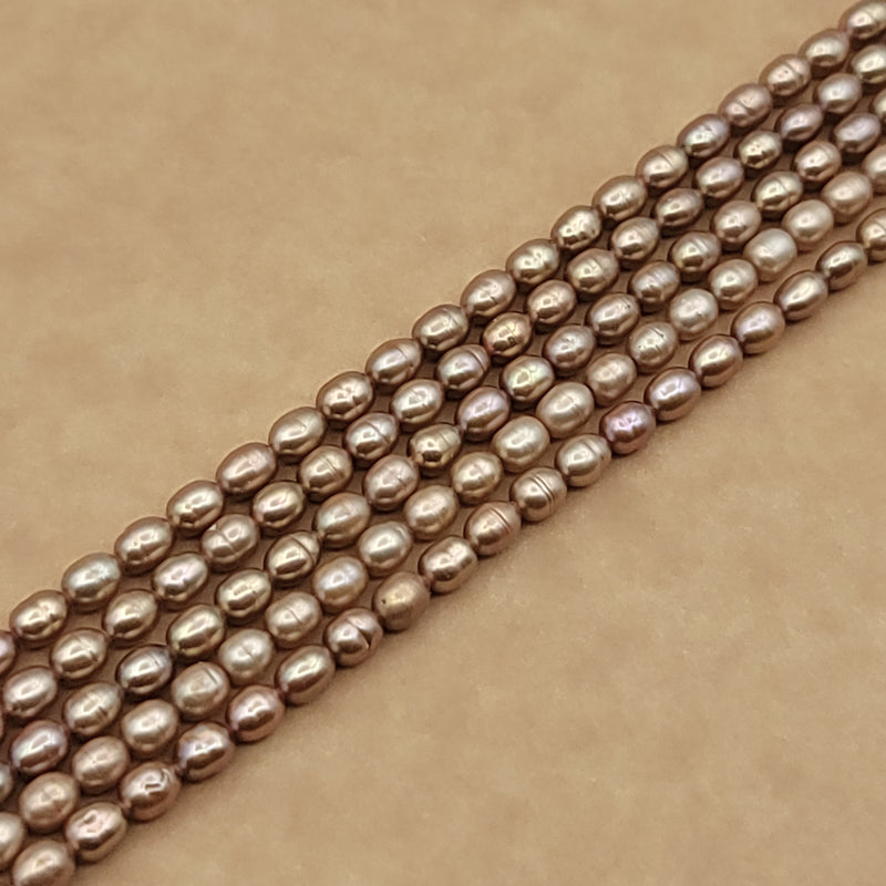 Champagne Gold Pearl Rice 5x4mm (PX)