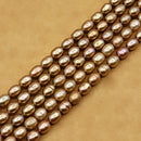 Champagne Gold Pearl Rice 5x4mm (PX)