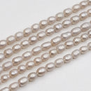 Light Grey Pearl Rice 5.5x4mm (PX)
