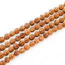 Rudraksha Round 8.5mm