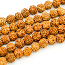 Rudraksha Round 14mm